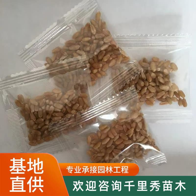 loadable